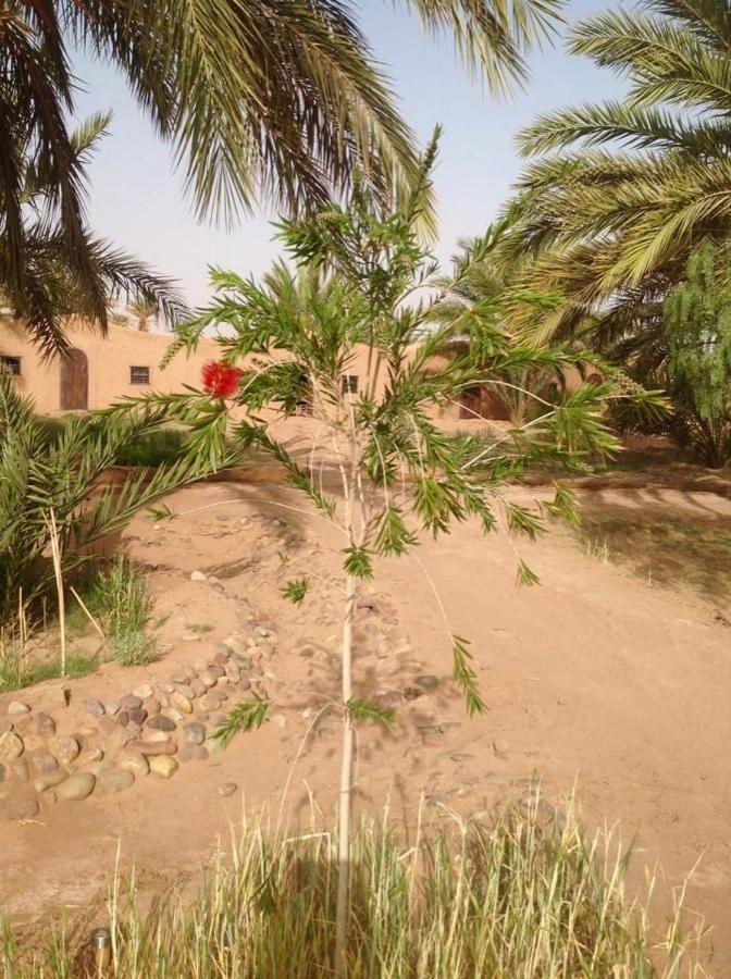 Chez Madani Hotel M'Hamid Exterior photo