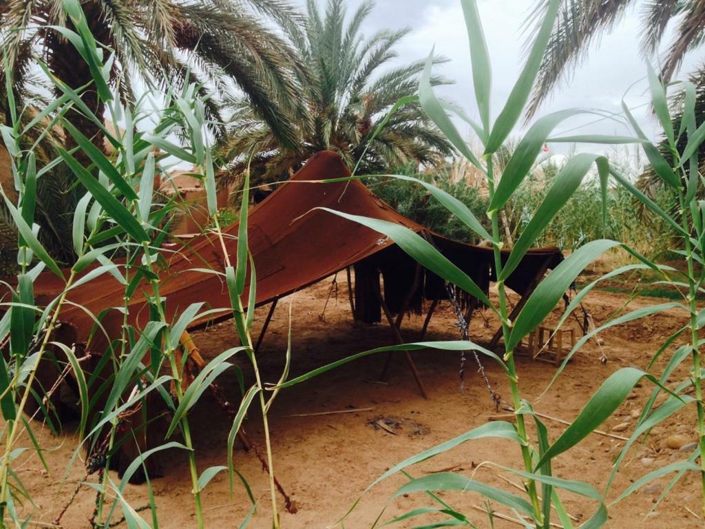 Chez Madani Hotel M'Hamid Exterior photo